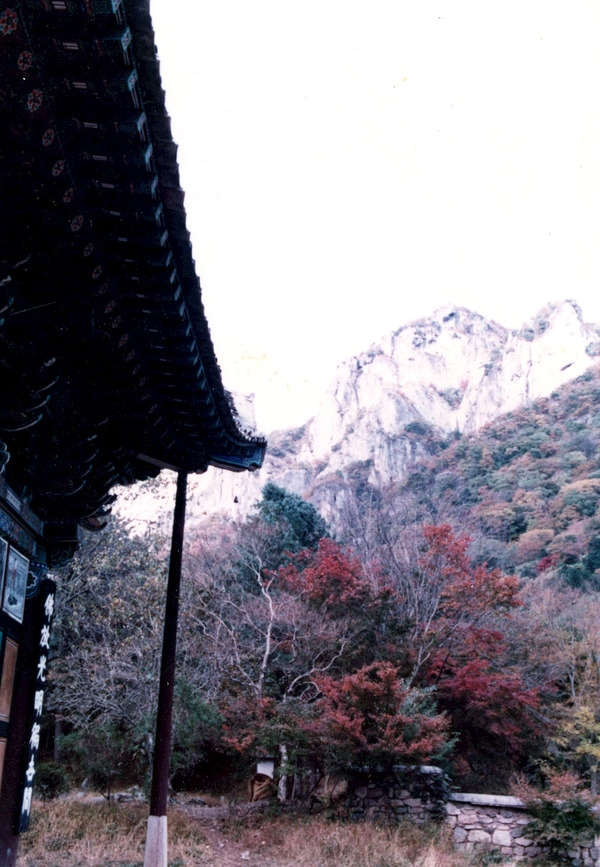 백양사가을