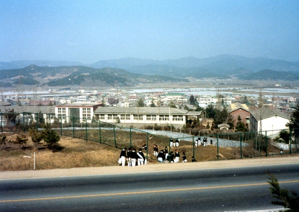 자연보호활동