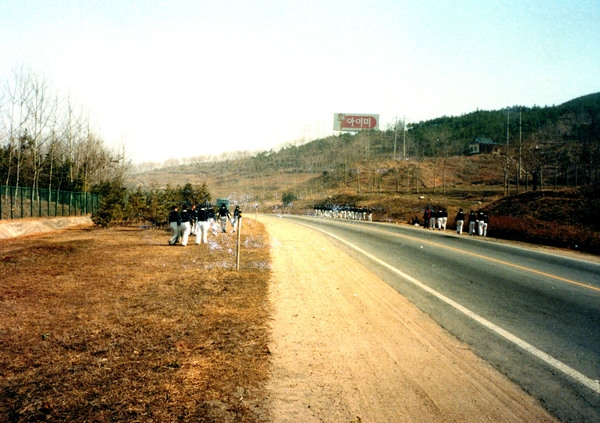 자연보호활동