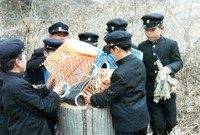 자연보호활동