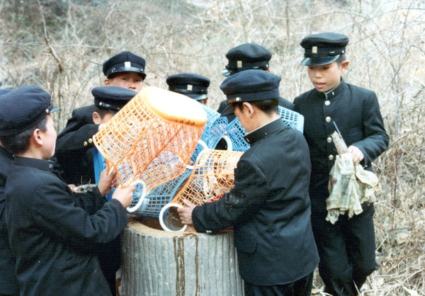 자연보호활동