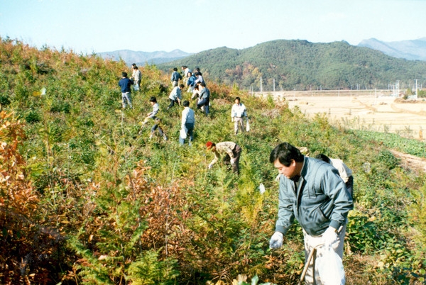 제43회식목일행사