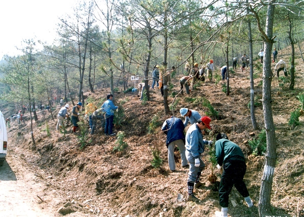 제42회식목일행사