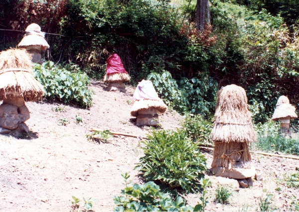 한봉