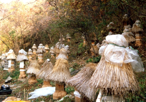 한봉