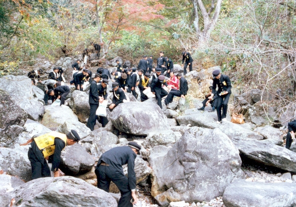 자연보호활동