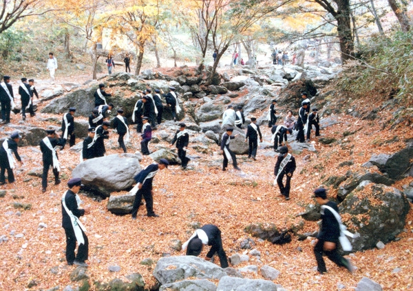 자연보호활동