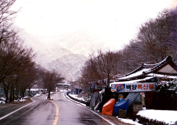 백양사입구