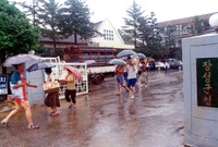 1989수해현장긴급구호품전...