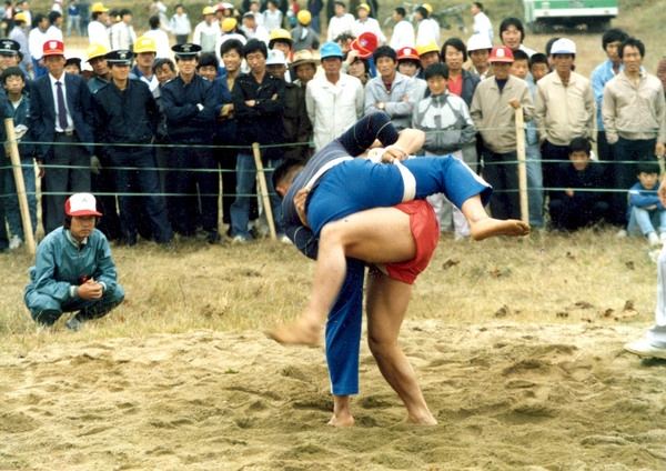 제10회 군민의날