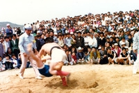 제1회 군민의날