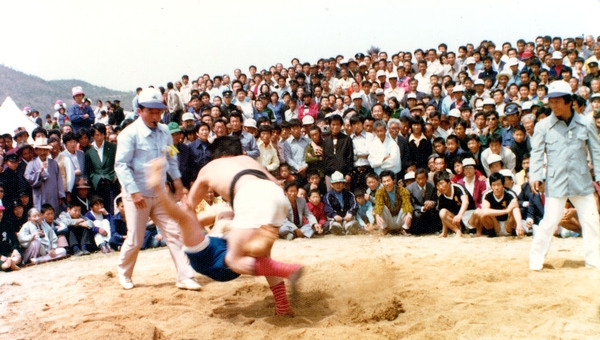 제1회 군민의날