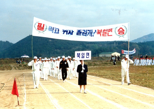 제13회 군민의날