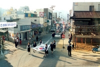 제13회 군민의날
