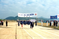 제13회 군민의날