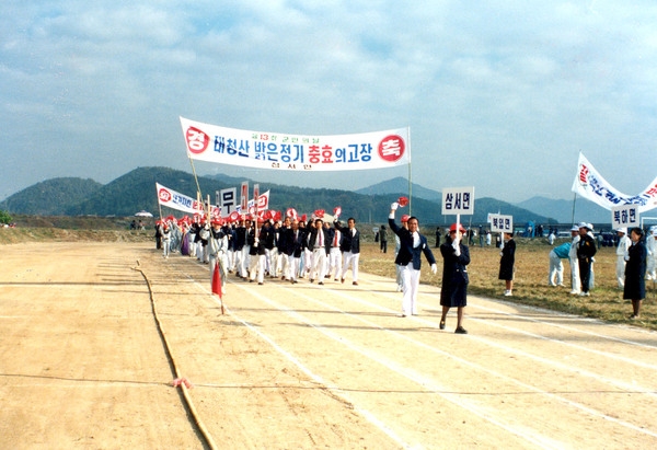 제13회 군민의날
