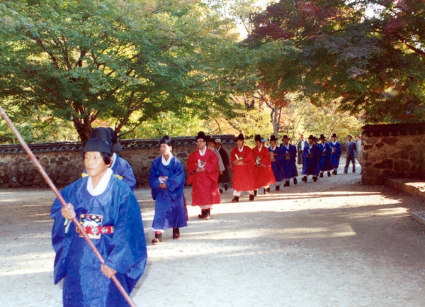 제13회 군민의날