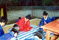 제13회 군민의날