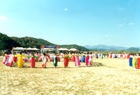 제13회 군민의날
