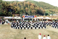 제13회 군민의날
