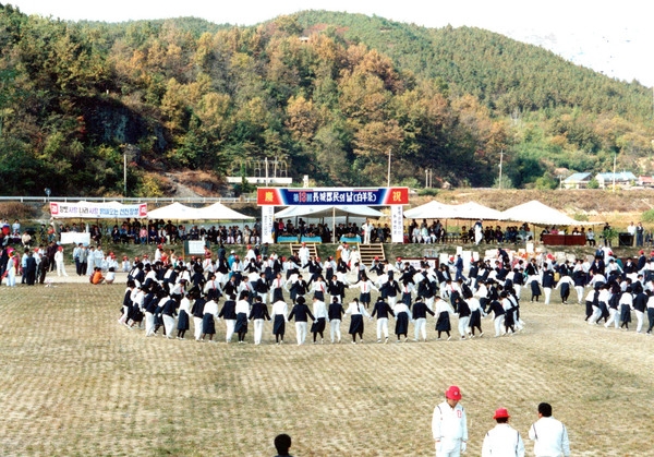제13회 군민의날
