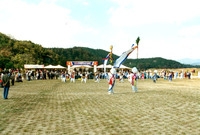 제13회 군민의날
