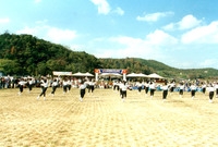 제13회 군민의날