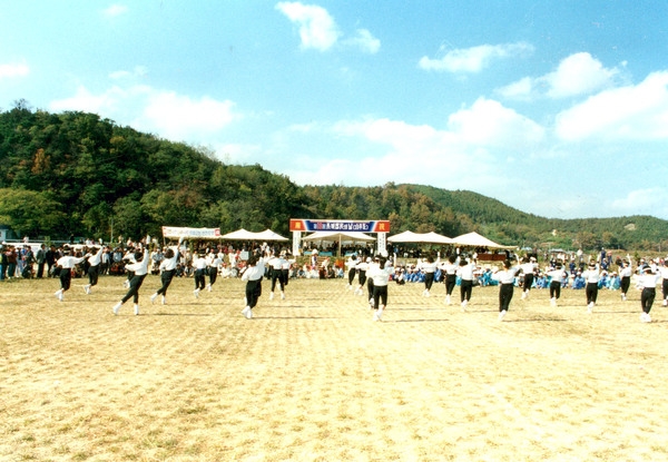 제13회 군민의날