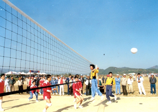 제13회 군민의날