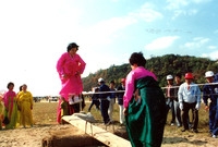 제13회 군민의날