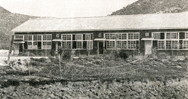약진하는장성군(동화 남국민학교)