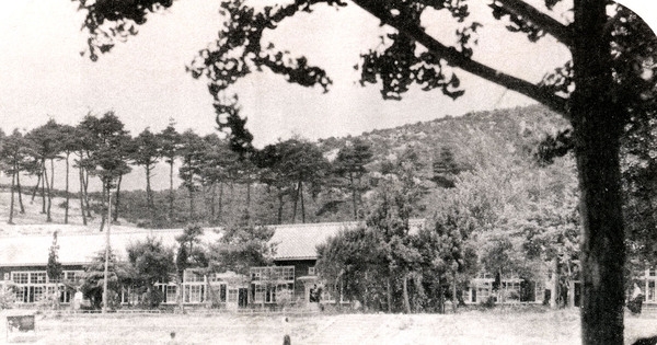 약진하는장성군(사거리국민학교)