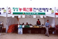 제3회 홍길동축제