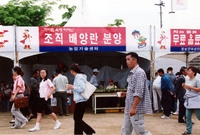 제3회 홍길동축제