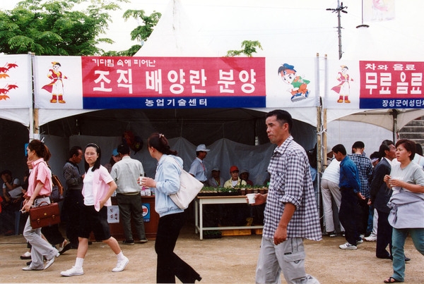 제3회 홍길동축제