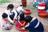 제3회 홍길동축제