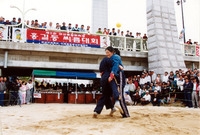 제2회 홍길동축제