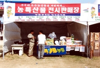 제2회 홍길동축제