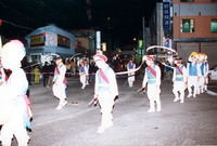 제6회 백양단풍축제