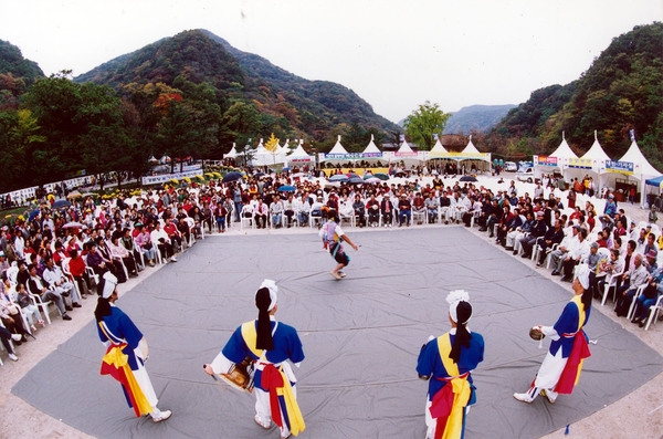 제6회 백양단풍축제