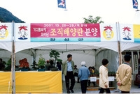 제6회 백양단풍축제