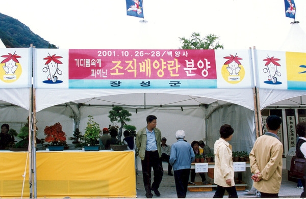 제6회 백양단풍축제