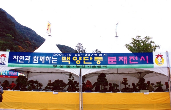 제6회 백양단풍축제