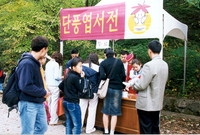 제6회 백양단풍축제