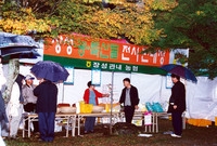 제6회 백양단풍축제