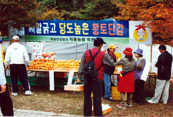 제6회 백양단풍축제
