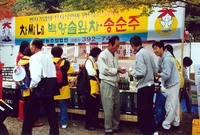 제6회 백양단풍축제