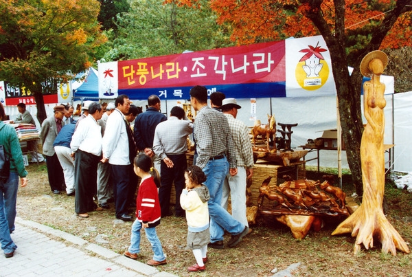 제6회 백양단풍축제