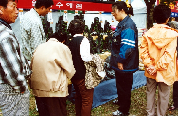 제6회 백양단풍축제