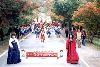 제5회 백양단풍축제
